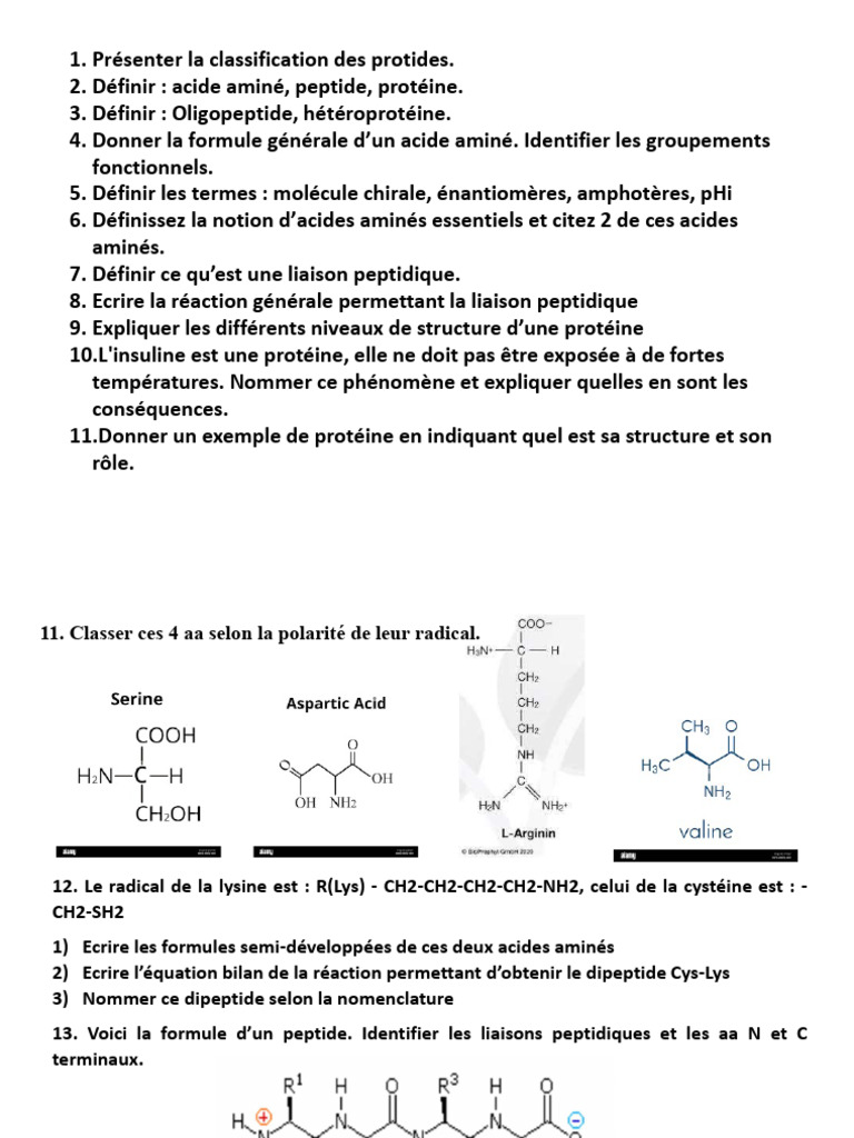 Classification des protides et définitions | PDF