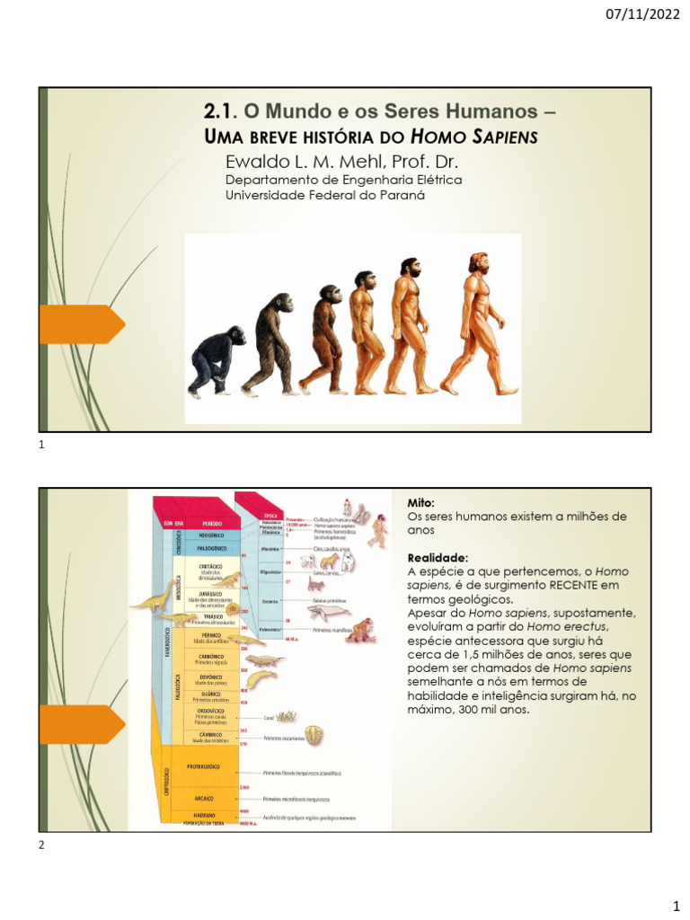 Evolução do Homo Sapiens: Mitos e Verdades | PDF | Homo | Neanderthal