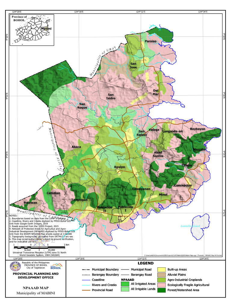 NPAAAD Map of Mabini, Bohol | PDF