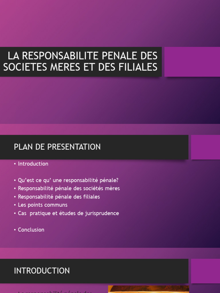 Responsabilité pénale des sociétés mères | PDF | Loi criminelle | Justice
