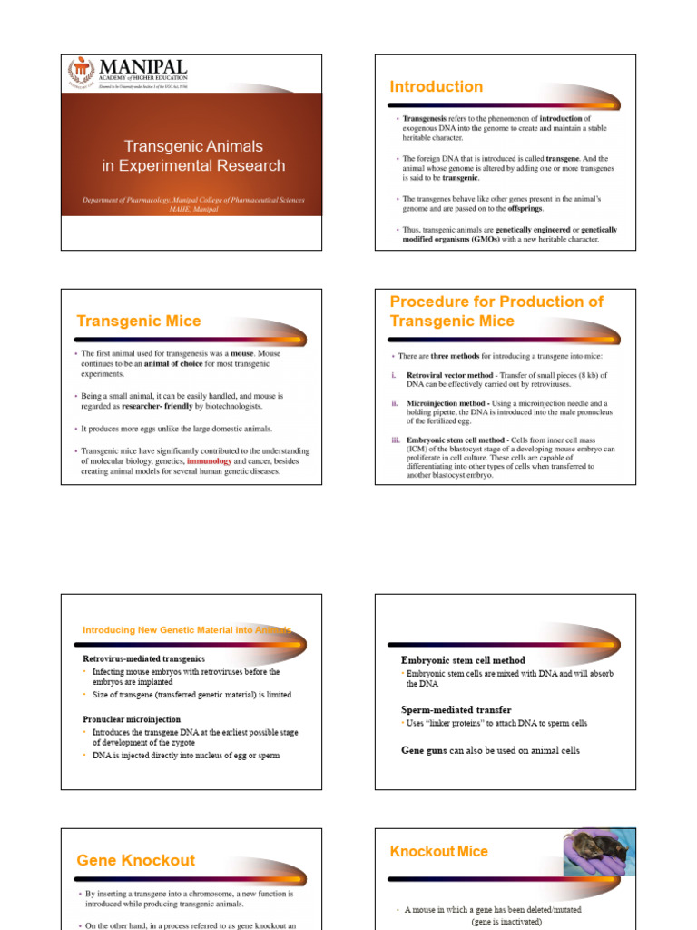 Transgenic and Knockout Mice in Research | PDF | Gene Knockout | Transgene