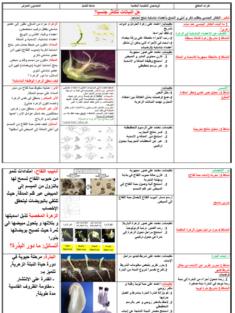 ficheنبات التكاثر الجنسي | PDF