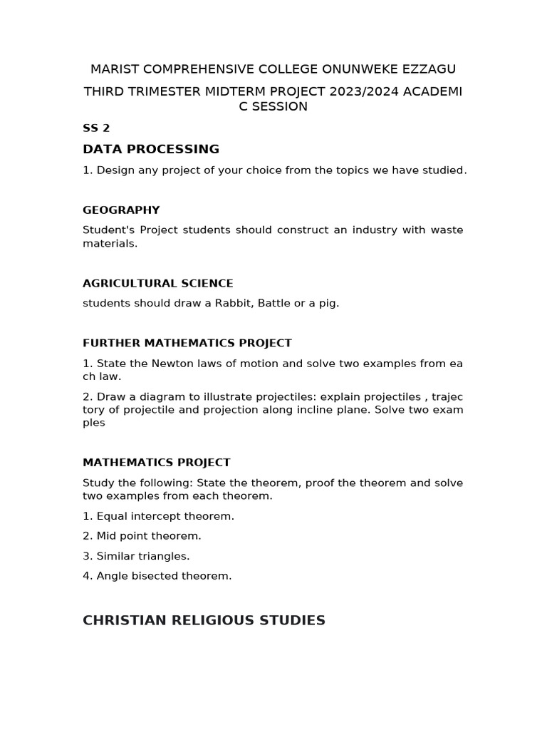 SS2 Midterm Project Guidelines 2023/24 | PDF