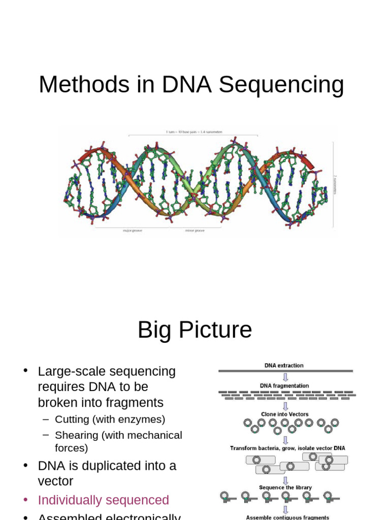 Dna Sequenccing Methods | PDF