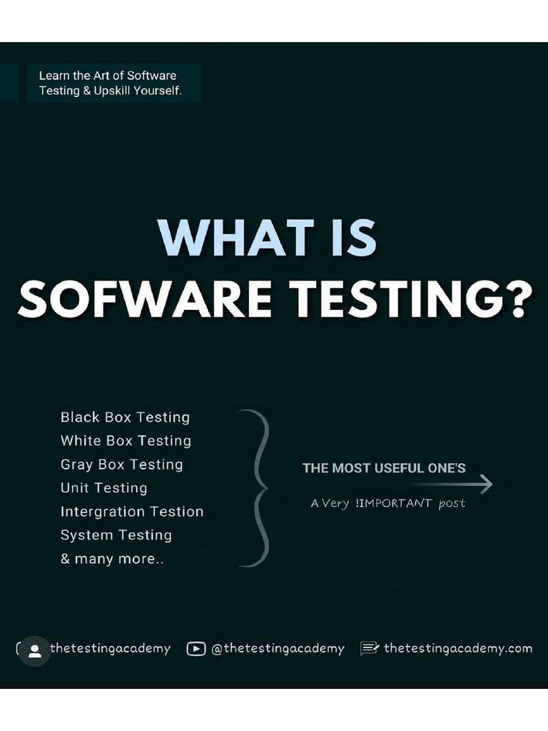 What Is Software Testing | PDF