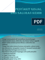 Download Diet Penyakit Ginjal Dan Saluran Kemih by Fitri Sari SN84264939 doc pdf