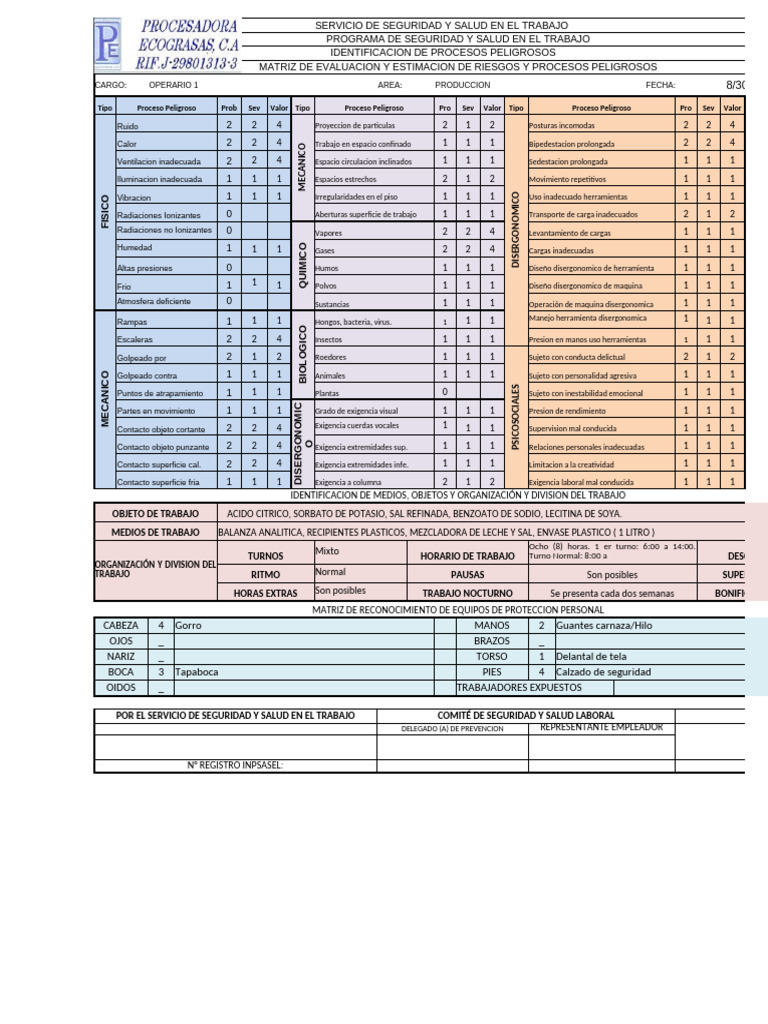 Evaluación de Riesgos en Seguridad Laboral | PDF | Seguridad y salud ...