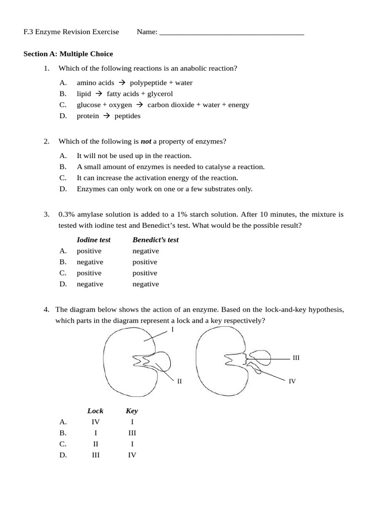 Anabolic Enzymes Worksheet and Answers | PDF | Enzyme | Enzyme Inhibitor