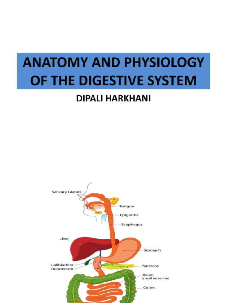 Anatomy And Physiology Of Digestive System 1st Pdf