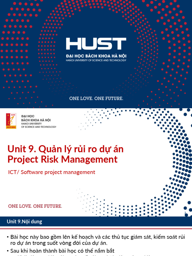 Unit9 - Risk Management (V) | PDF