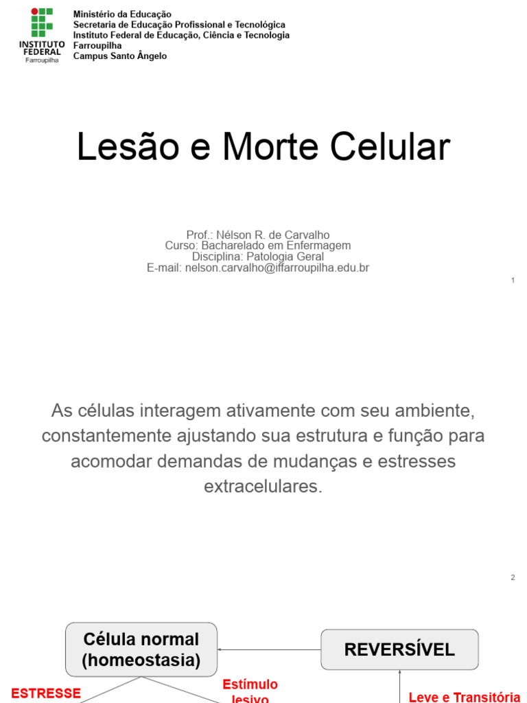 Lesao e Morte Celular | PDF | Apoptose | Necrose