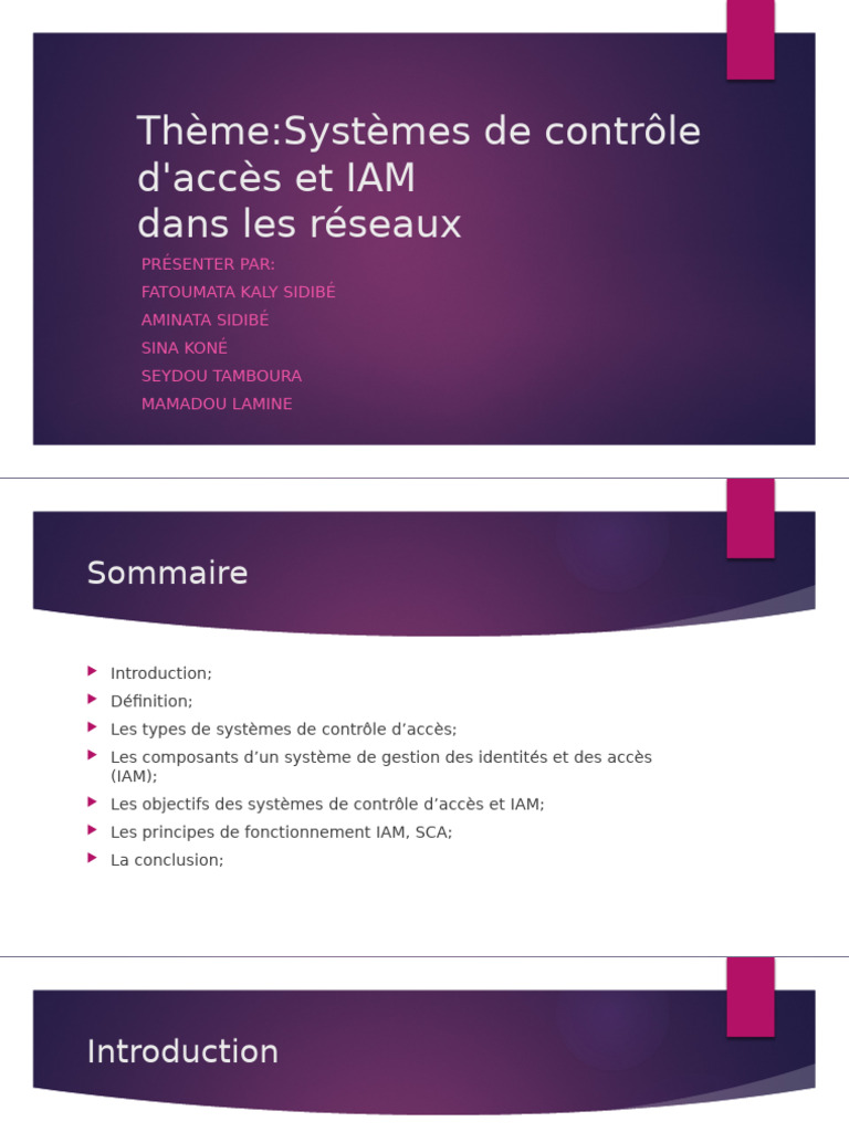 Systèmes de contrôle d'accès et IAM | PDF | Sécurité | Sécurité des ...