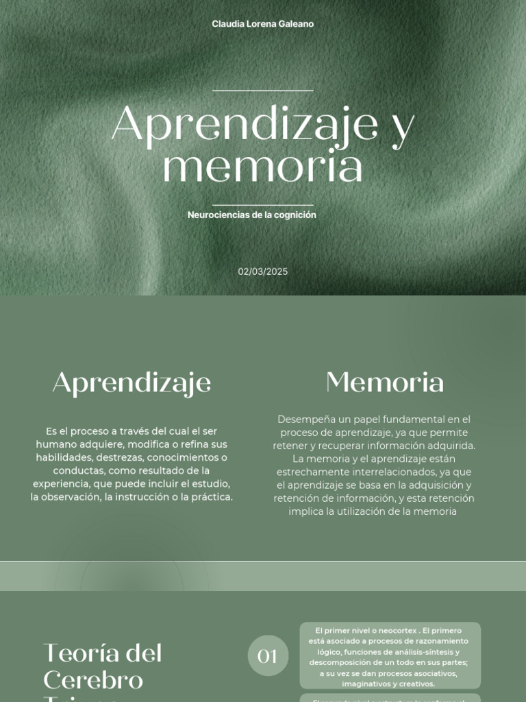 Relación entre Memoria y Aprendizaje | PDF | Aprendizaje | Memoria
