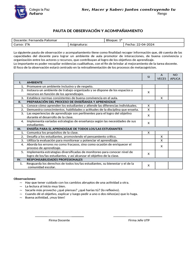 Pauta de Observación y Acompañamiento | PDF | Maestros | Enseñando