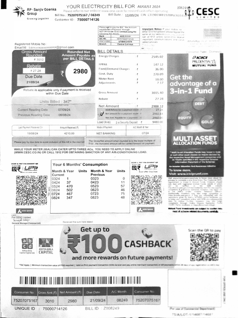 CESC Electricity Bill Summary 2024 | PDF | Money | Payments