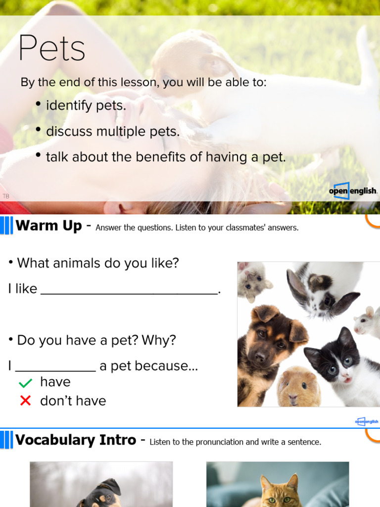 Exploring Pet Animals in Class | PDF