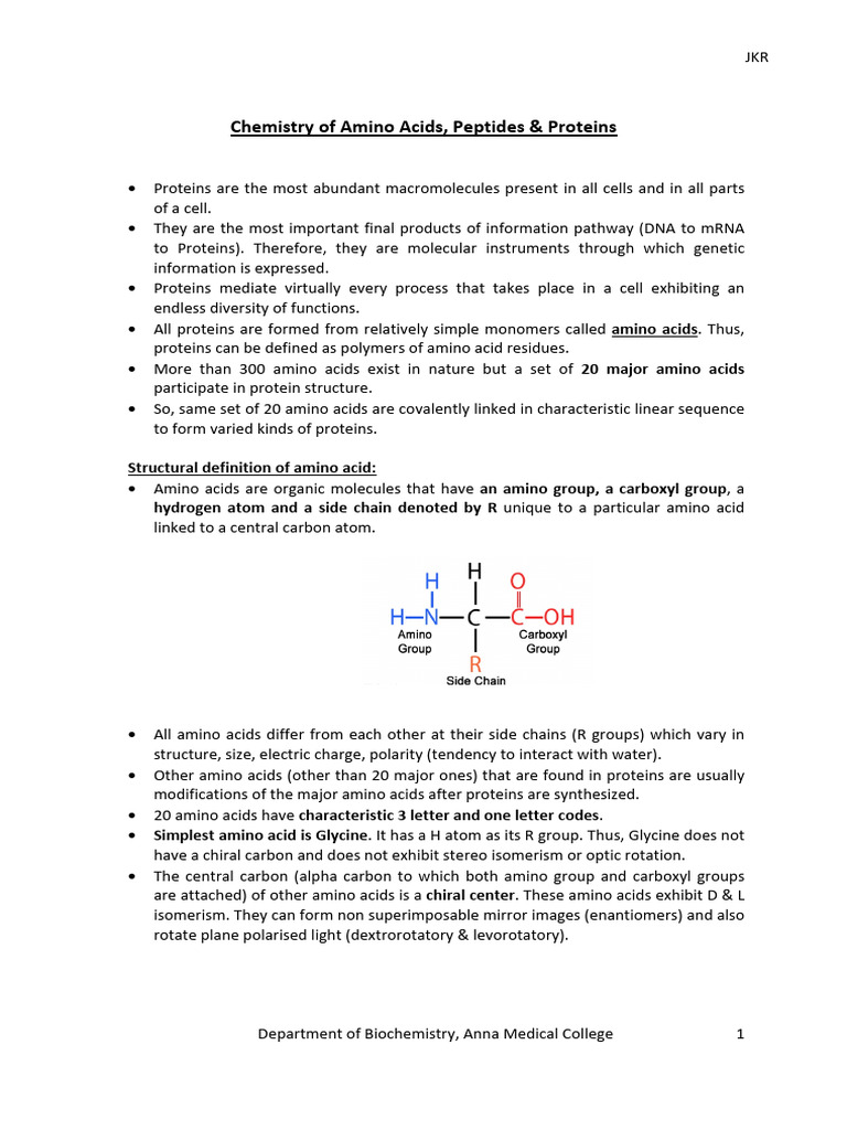 Amino Acids, Peptides, and Proteins Overview | PDF | Amino Acid | Proteins