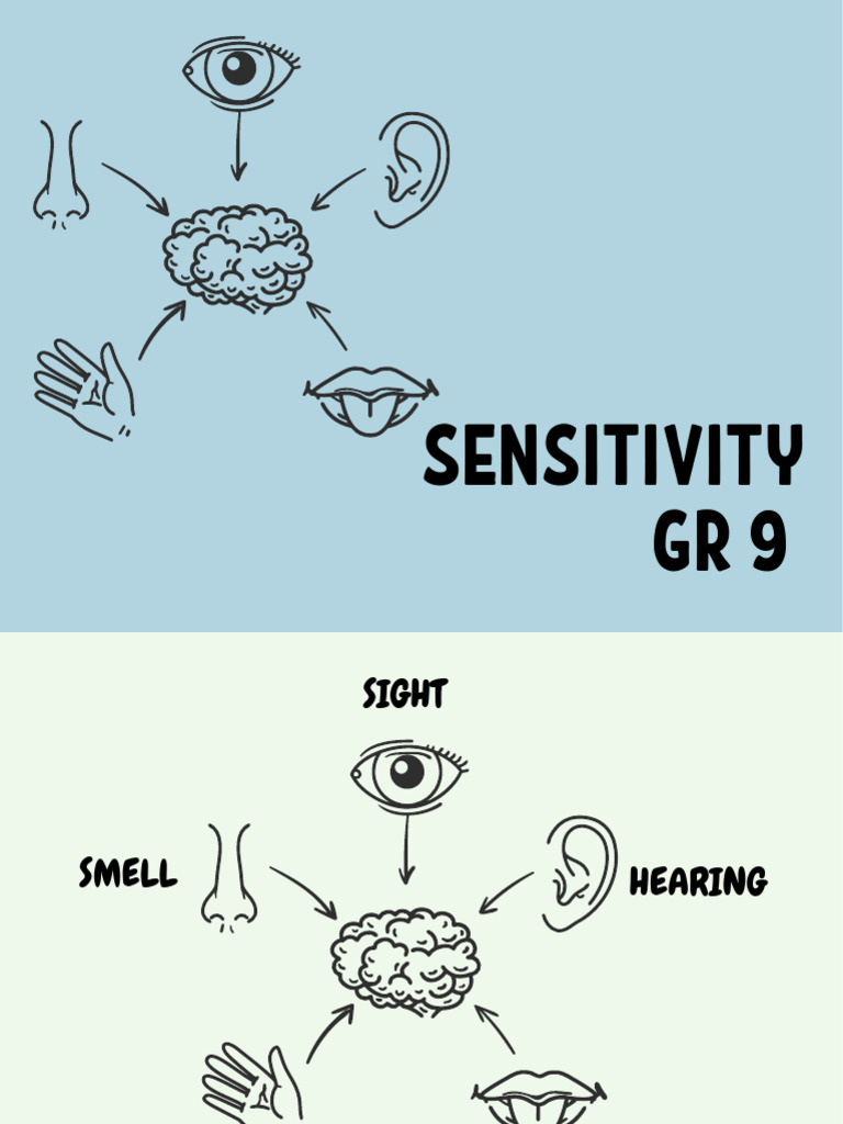 Understanding Human Senses and Sensitivity | PDF