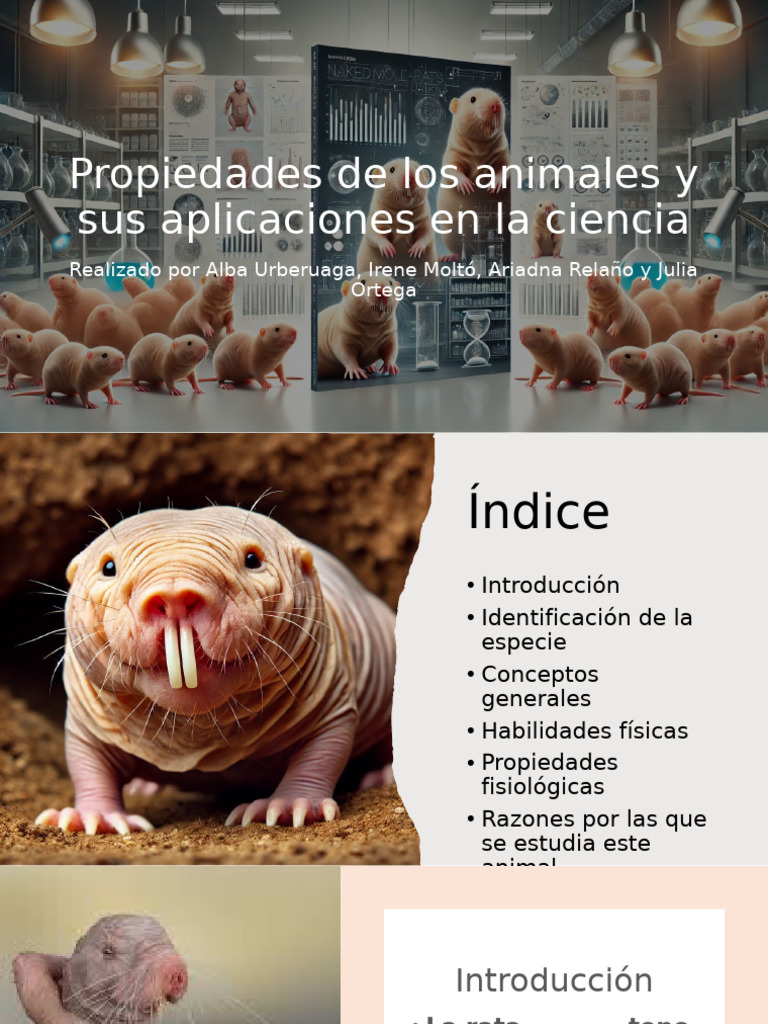 Propiedades únicas de la rata topo desnuda | PDF | Cáncer | Dolor