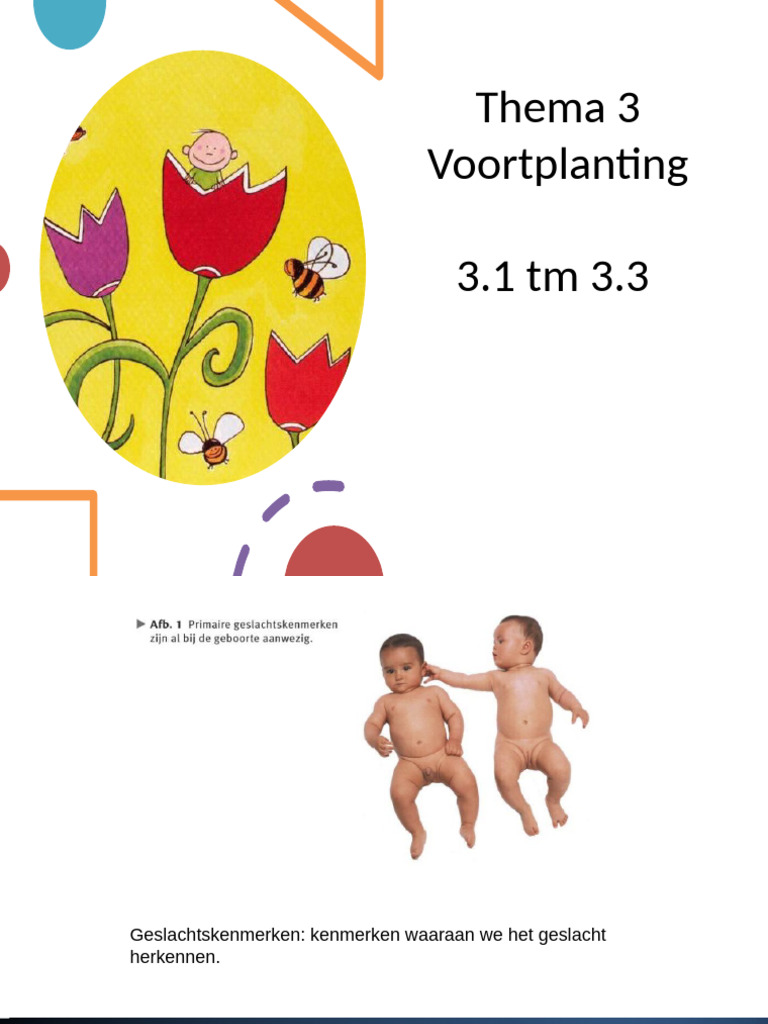 Liefde en Seksualiteit 3.1 TM 3.3 | PDF