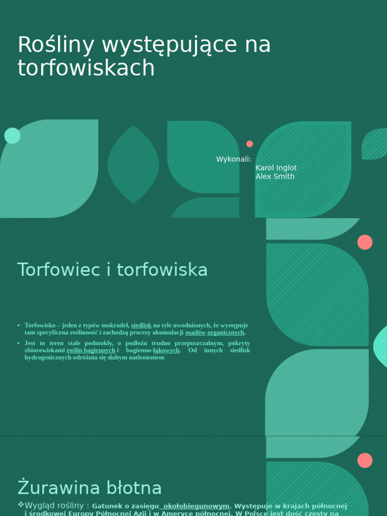 Presentation 1 | PDF