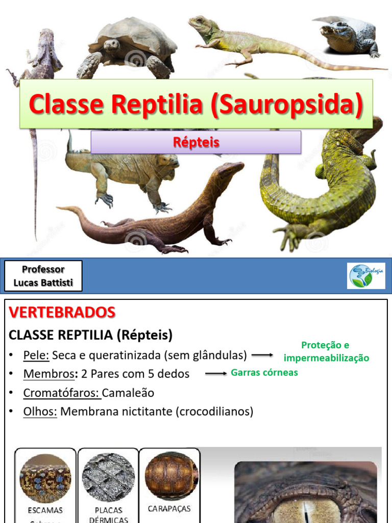 Características dos Répteis Vertebrados | PDF