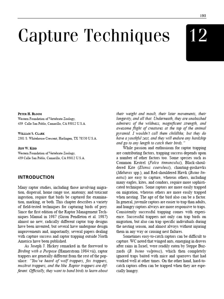 Raptor Capture Techniques Explained | PDF | Hawk | Birds Of Prey
