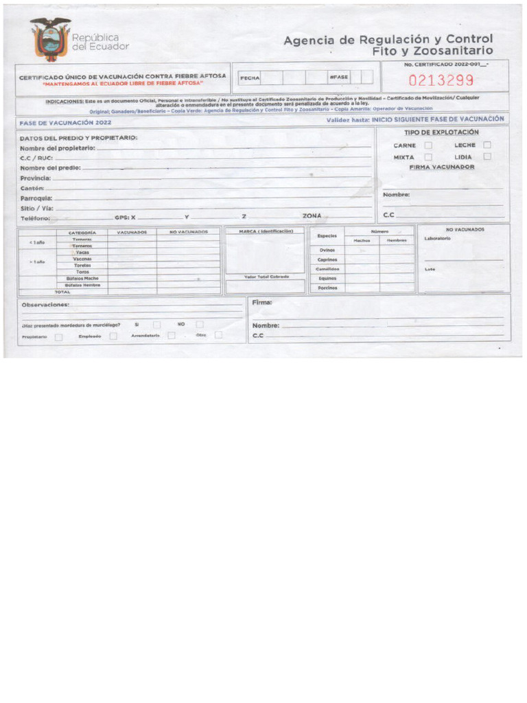 Conefa | PDF