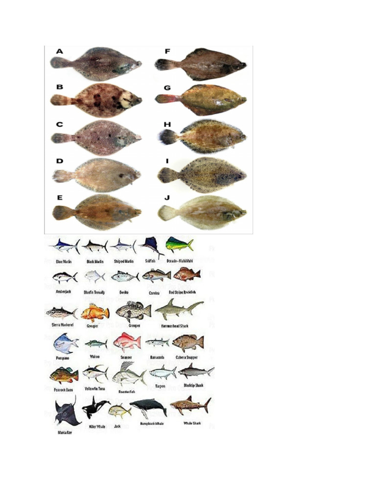 1 | PDF