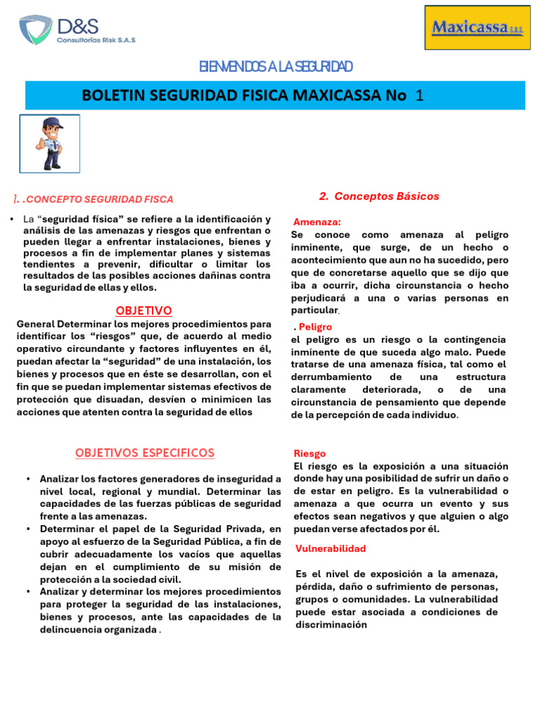 Seguridad Física: Riesgos y Protección | PDF | Valores | Riesgo