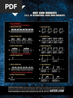 Download 40 PAS Drum Rudiments by Drums65 SN84279313 doc pdf