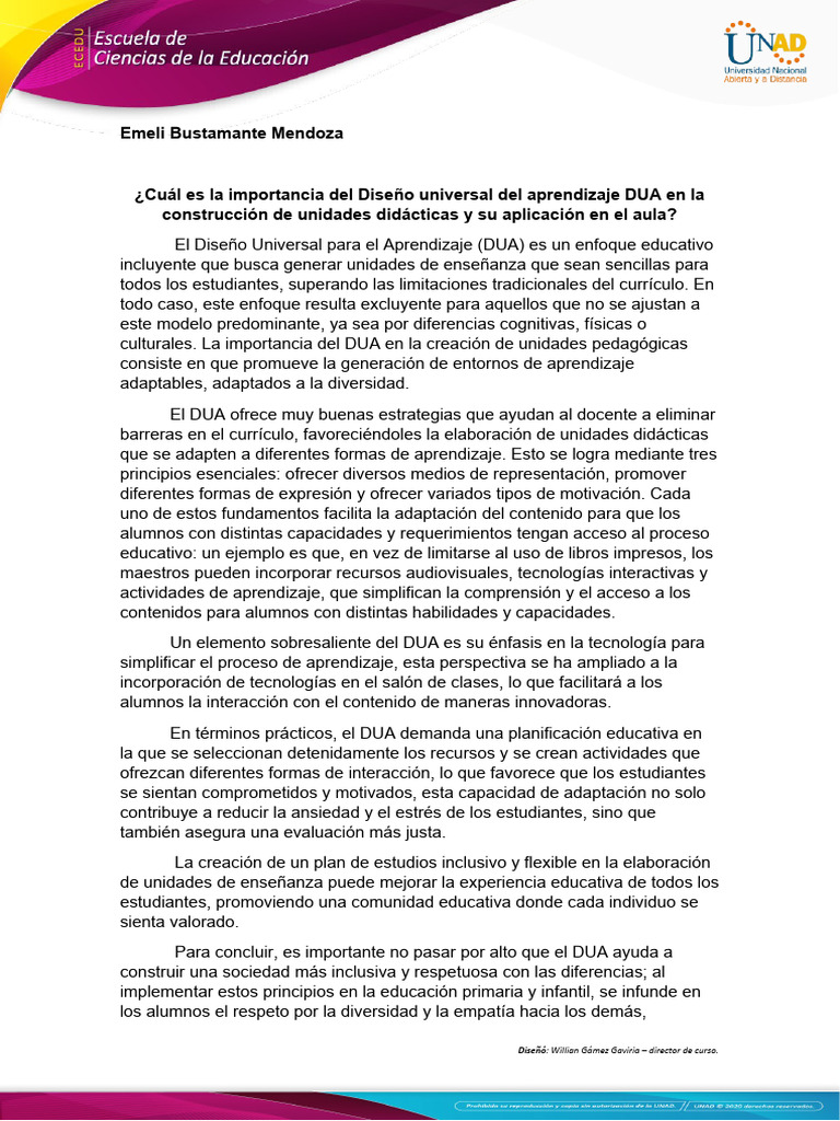 Importancia del DUA en la Educación Inclusiva | PDF | Plan de estudios ...