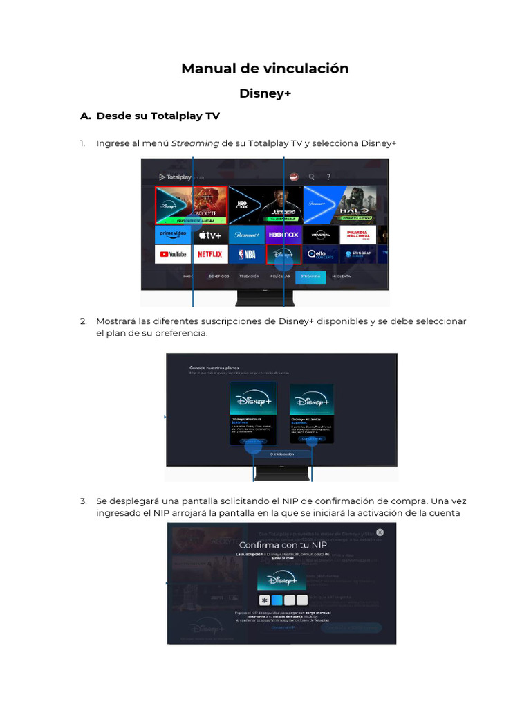 Cómo activar Disney+ en Totalplay | PDF | Aplicación movil | Informática