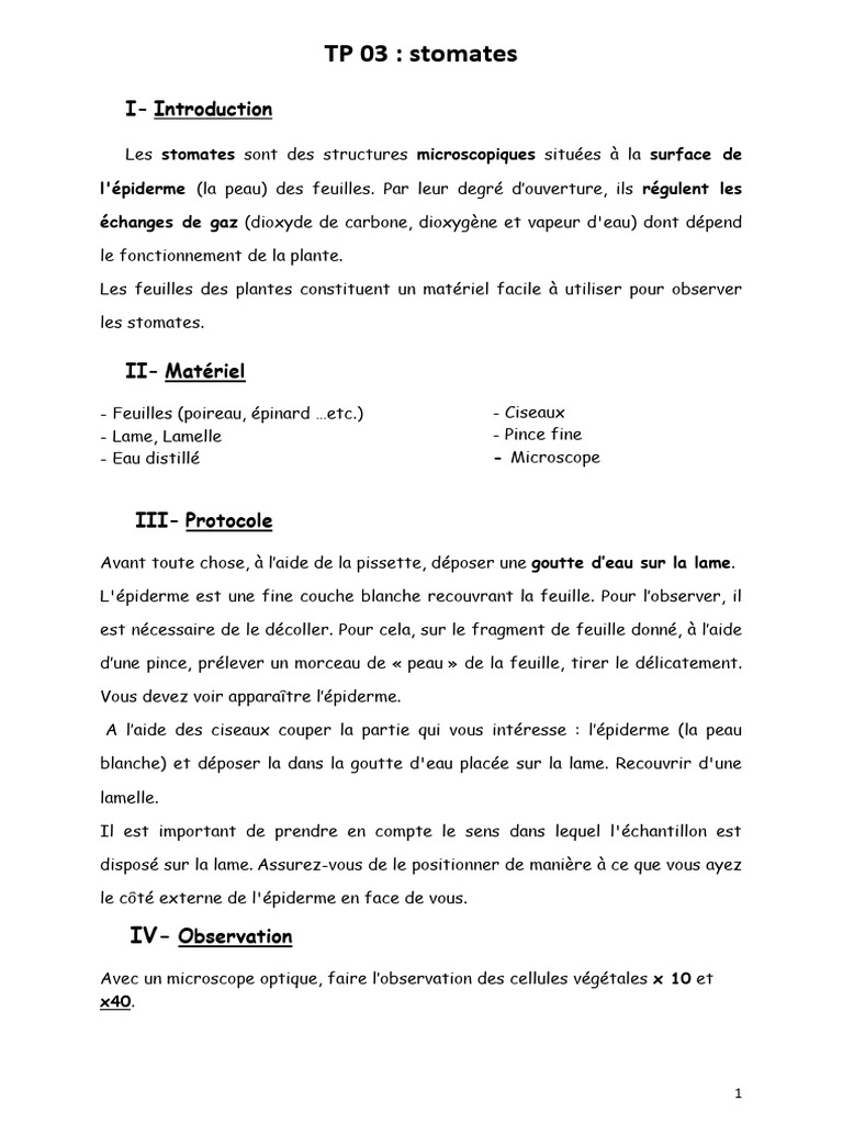 Observation des stomates au microscope | PDF