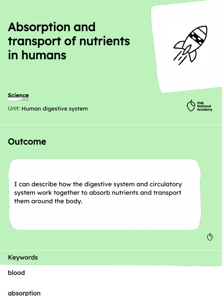 Nutrient Absorption in Human Digestion | PDF | Small Intestine | Digestion