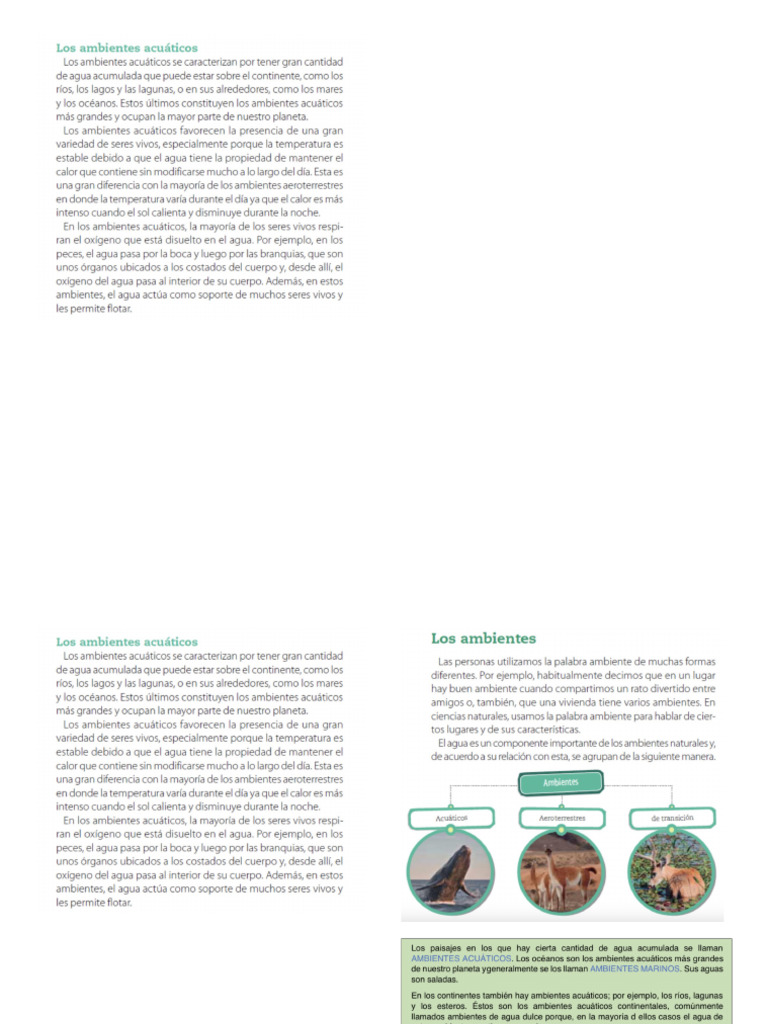 Imagenes para Cs Naturales - Horizontal | PDF