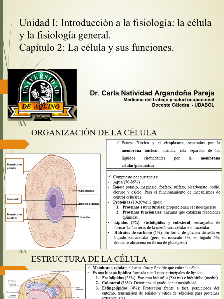Estructura y Funciones de la Célula | PDF | Membrana celular | Citoplasma
