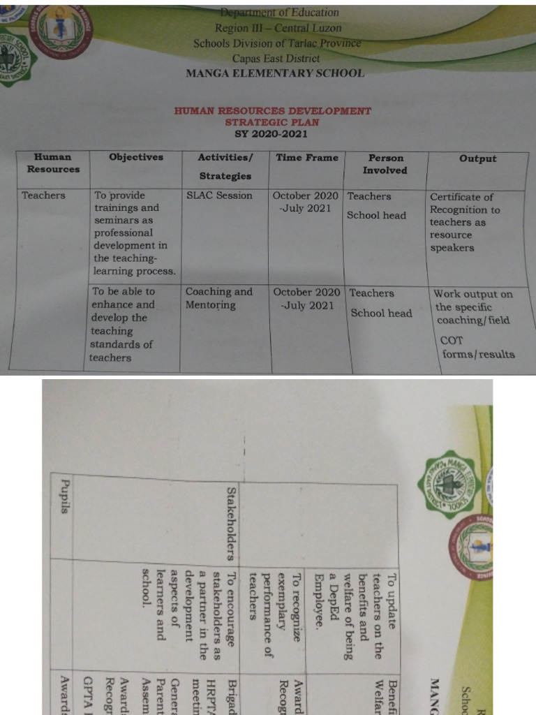 HUMAN RESOURCE DEVELOPMENT PLAN | PDF