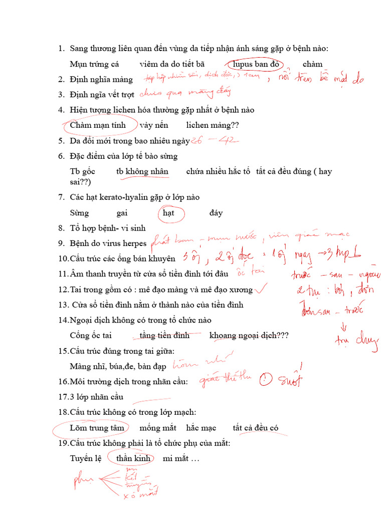 Da 3 | PDF