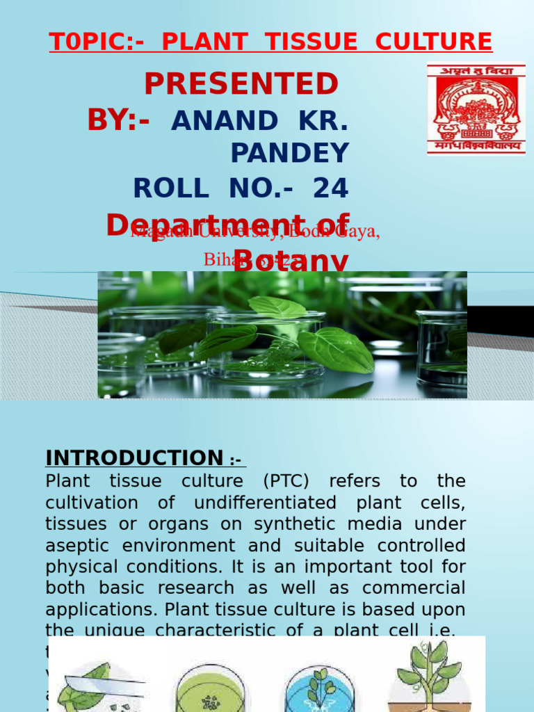 Plant Tissue Culture Techniques Explained | PDF | Embryo | Plants