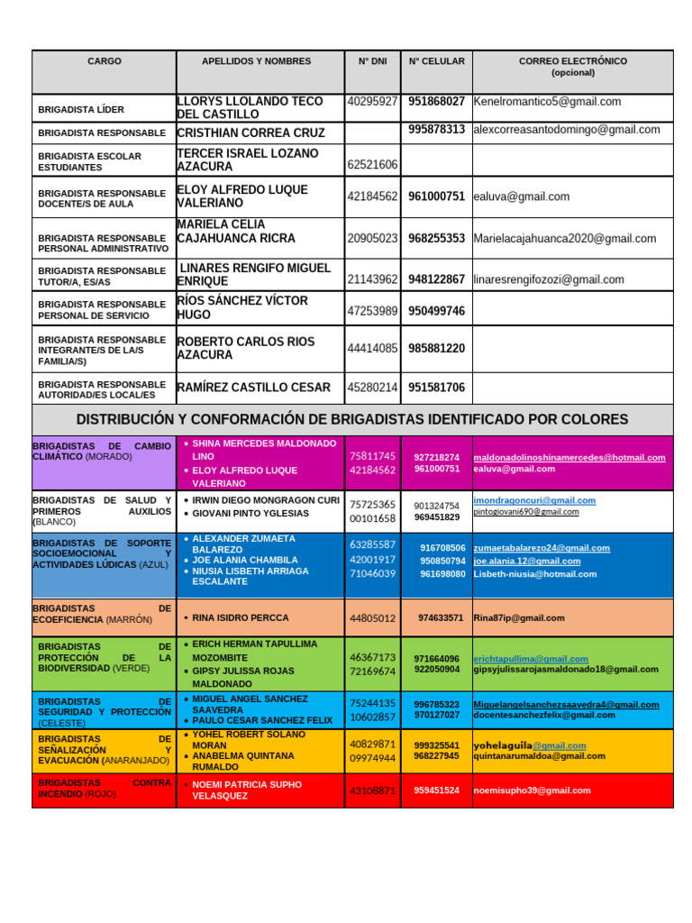 Tablero de Brigadistas Identificados | PDF