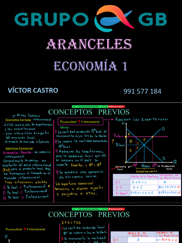 Impacto de Aranceles en el Mercado de Frutas y Flores | PDF | Excedente ...