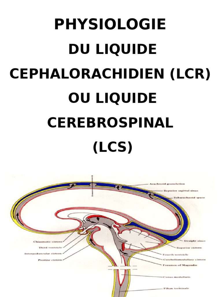 Physiologie du LCR et ses fonctions | PDF | Liquide cérébro-spinal ...