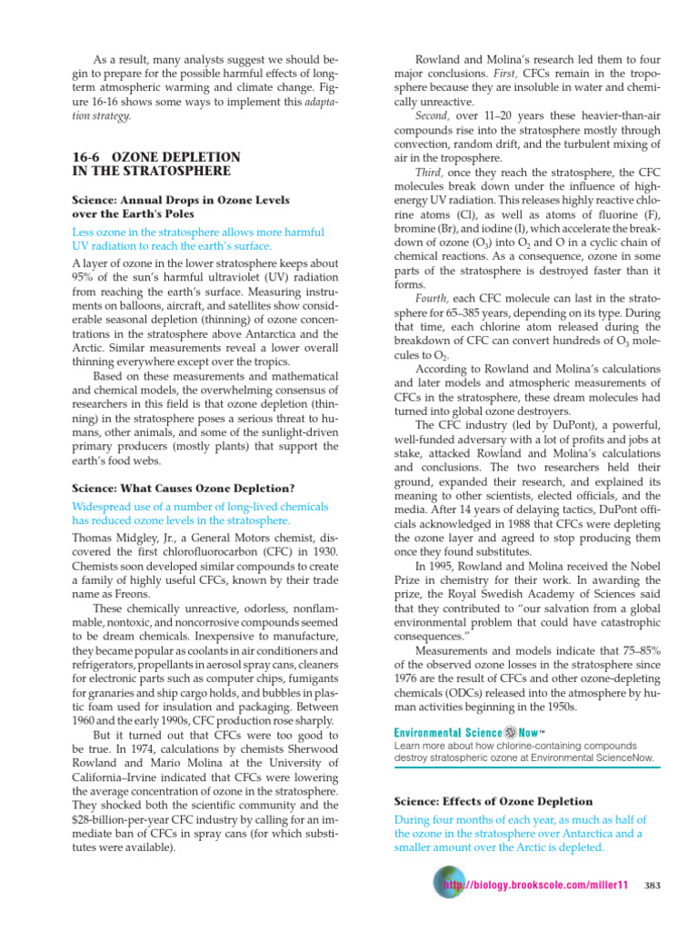 Ozone Depletion: Causes and Effects | PDF | Ozone Depletion ...