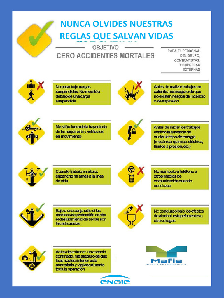 Reglas Que Salvan Vidas | PDF