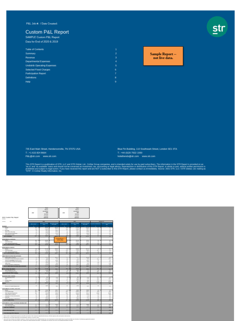 SAMPLE Annual Custom P and L Report - 0 | PDF | Revenue | Payroll Tax