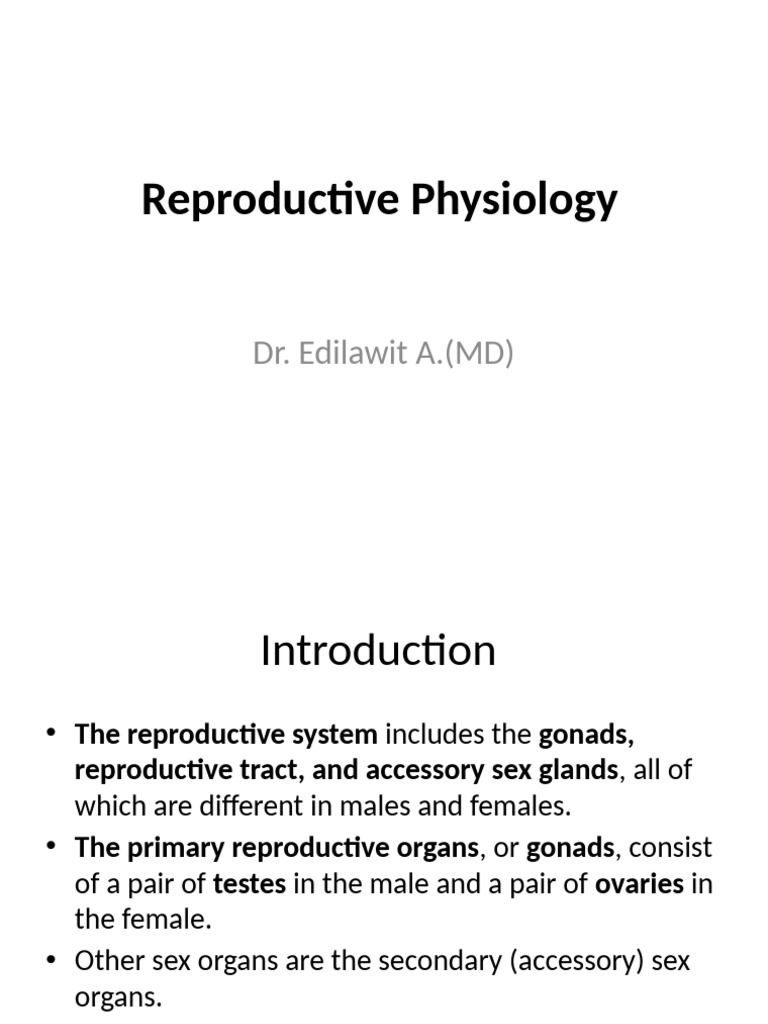 Reproductive Physiology Overview | PDF | Menstrual Cycle | Luteinizing ...