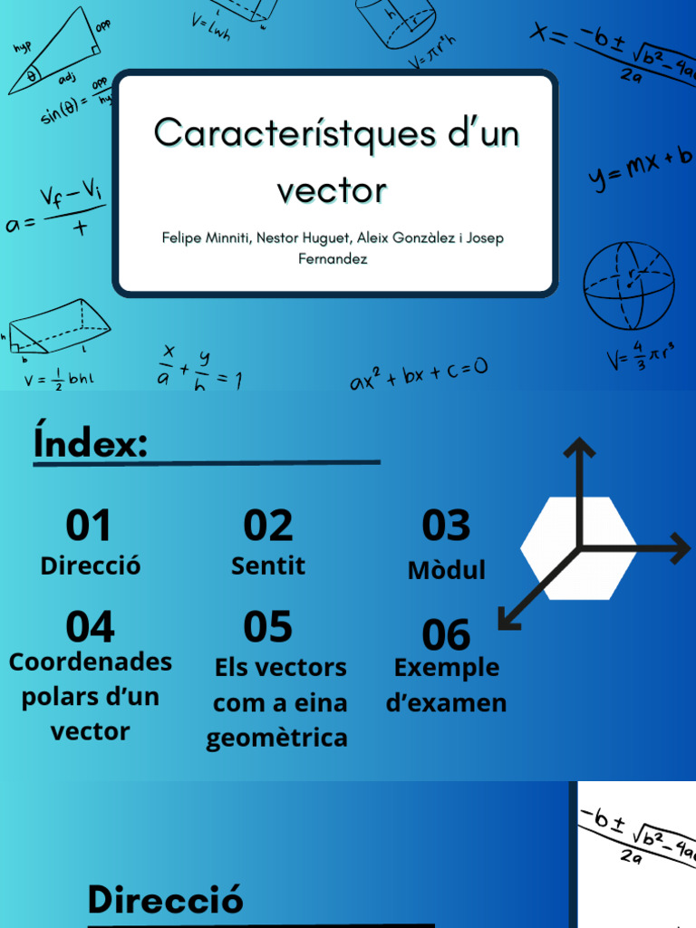 Característques D'un Vector | PDF