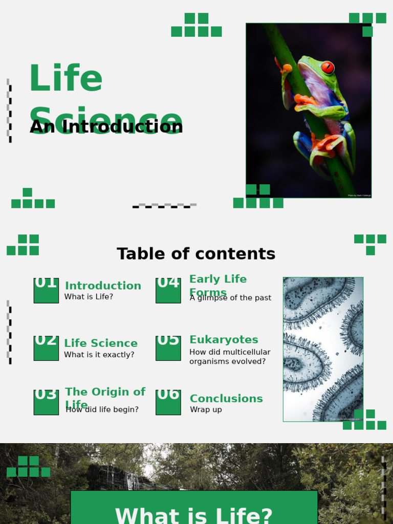 The Origin and Evolution of Life | PDF | Photosynthesis | Cell (Biology)