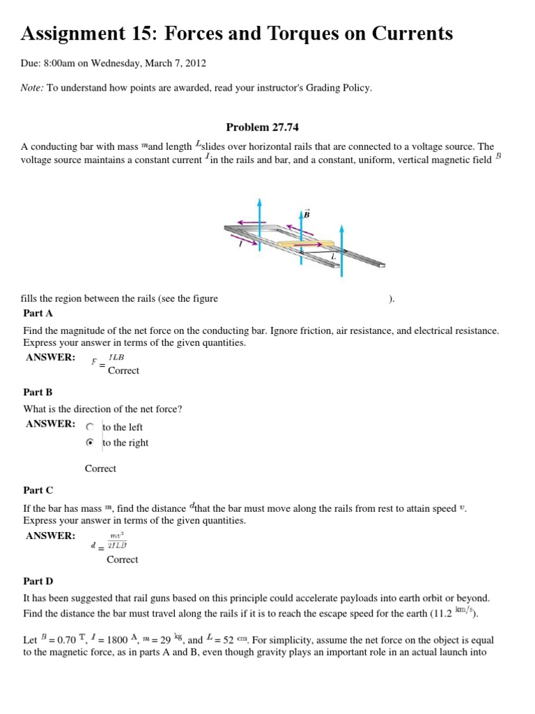 Physics Assignment on Magnetism | PDF | Magnetic Field | Force